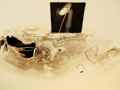 Professional water damage restoration services in Gadsden